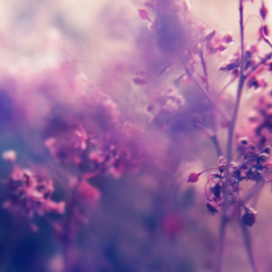 e37acb28ef93d2c946d8c2493bc06616