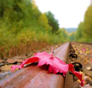 forrás: http://www.deviantart.com/art/end-177994590