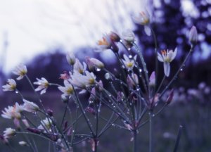 hope_by_novatheepic-d602fwm